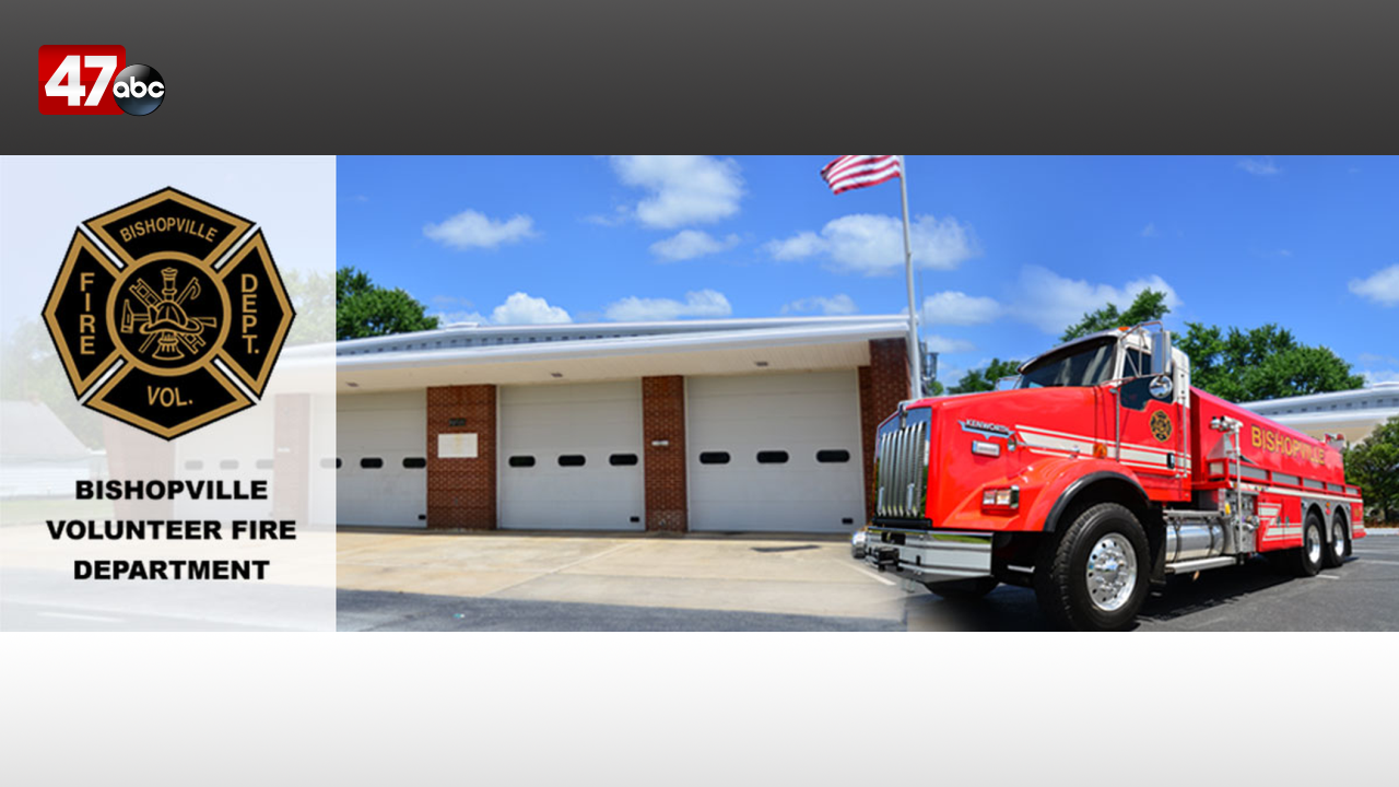 No one injured after tree falls down in 47abc