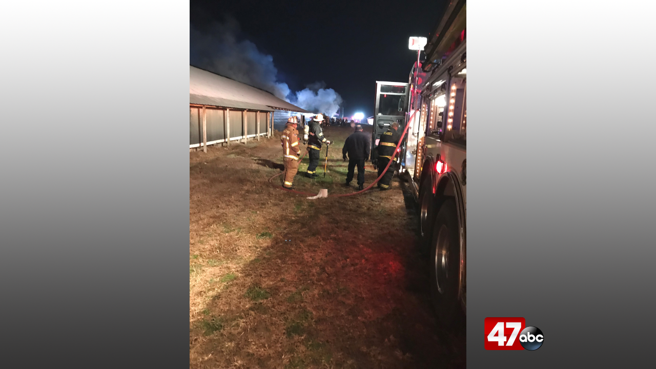 Officials report total loss after Blades chicken house fire 47abc