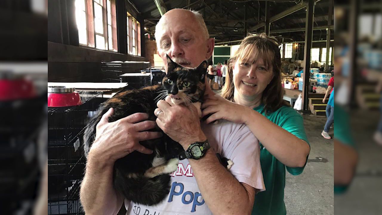 Del. adoption event finds forever homes for more than 1,100 pets - 47abc