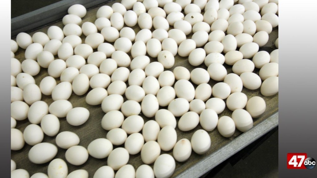 200 million eggs recalled, includes Food Lion and Walmart brands 47abc