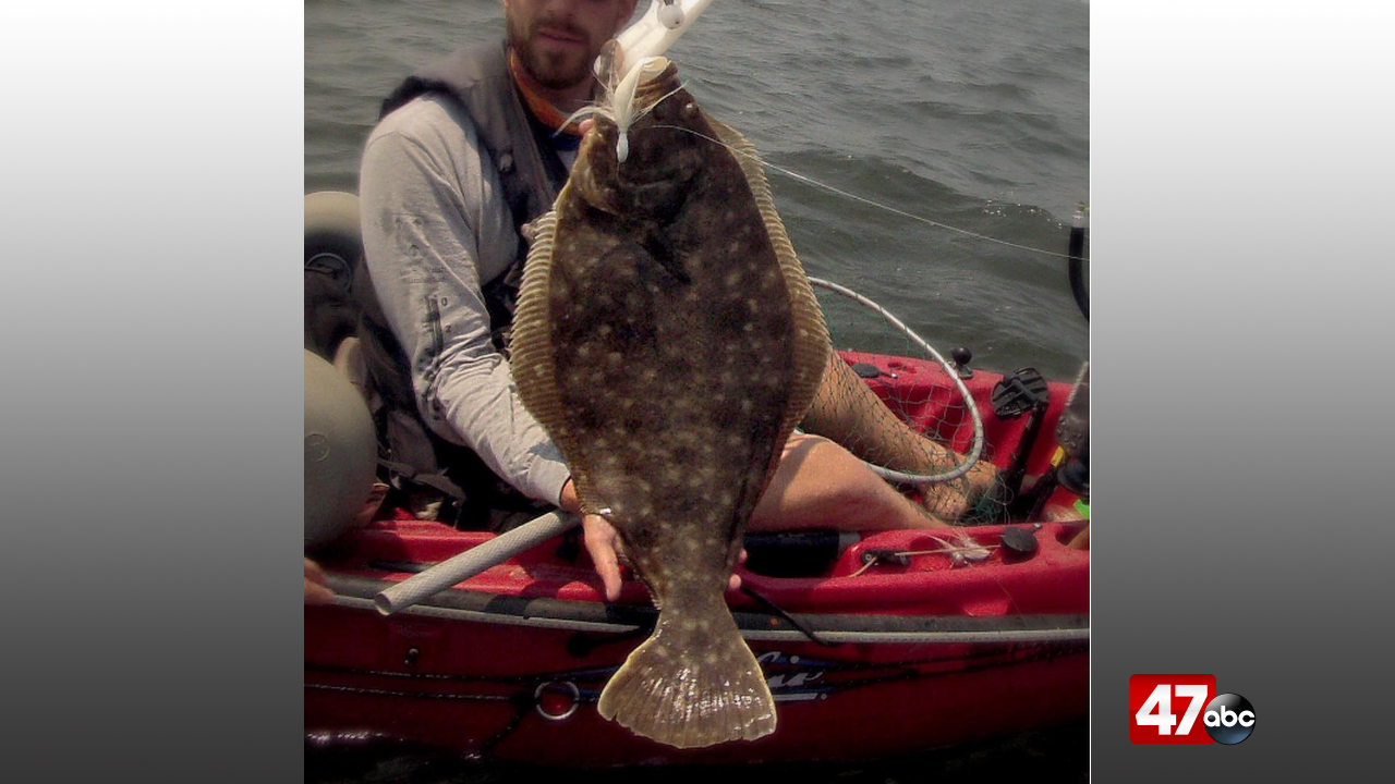 Fisheries managers seek Delmarva anglers' input on flounder regulations