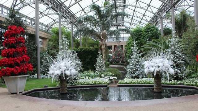 Longwood Gardens Takes Flight For The Holidays 47abc