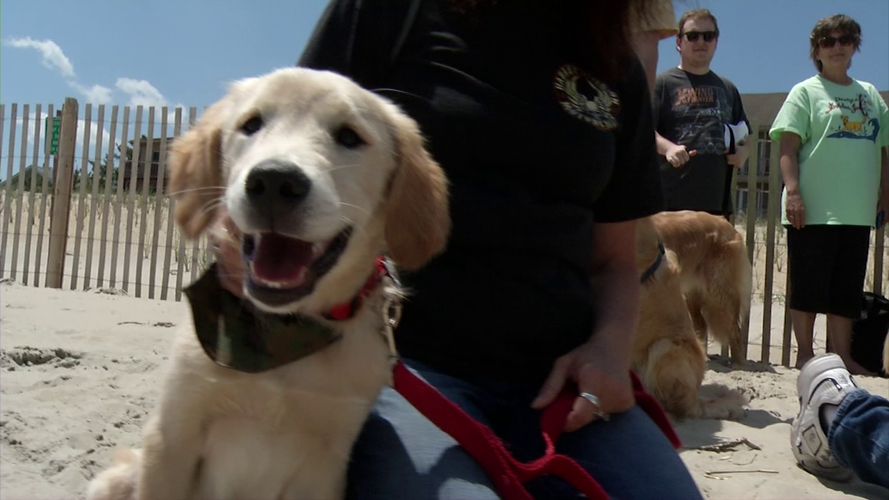 Dogs make a splash in Dewey Beach for a good cause 47abc