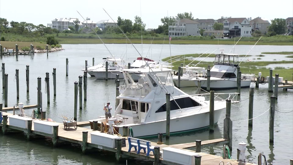 OC Tuna Tournament brings in more than just fishermen 47abc