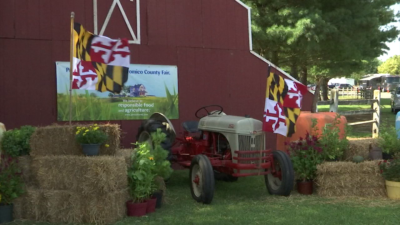 County Fair kicks off 47abc