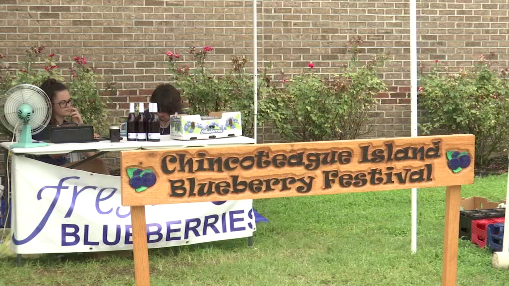 Not just blueberries at the 30th Chincoteague Blueberry Festival 47abc