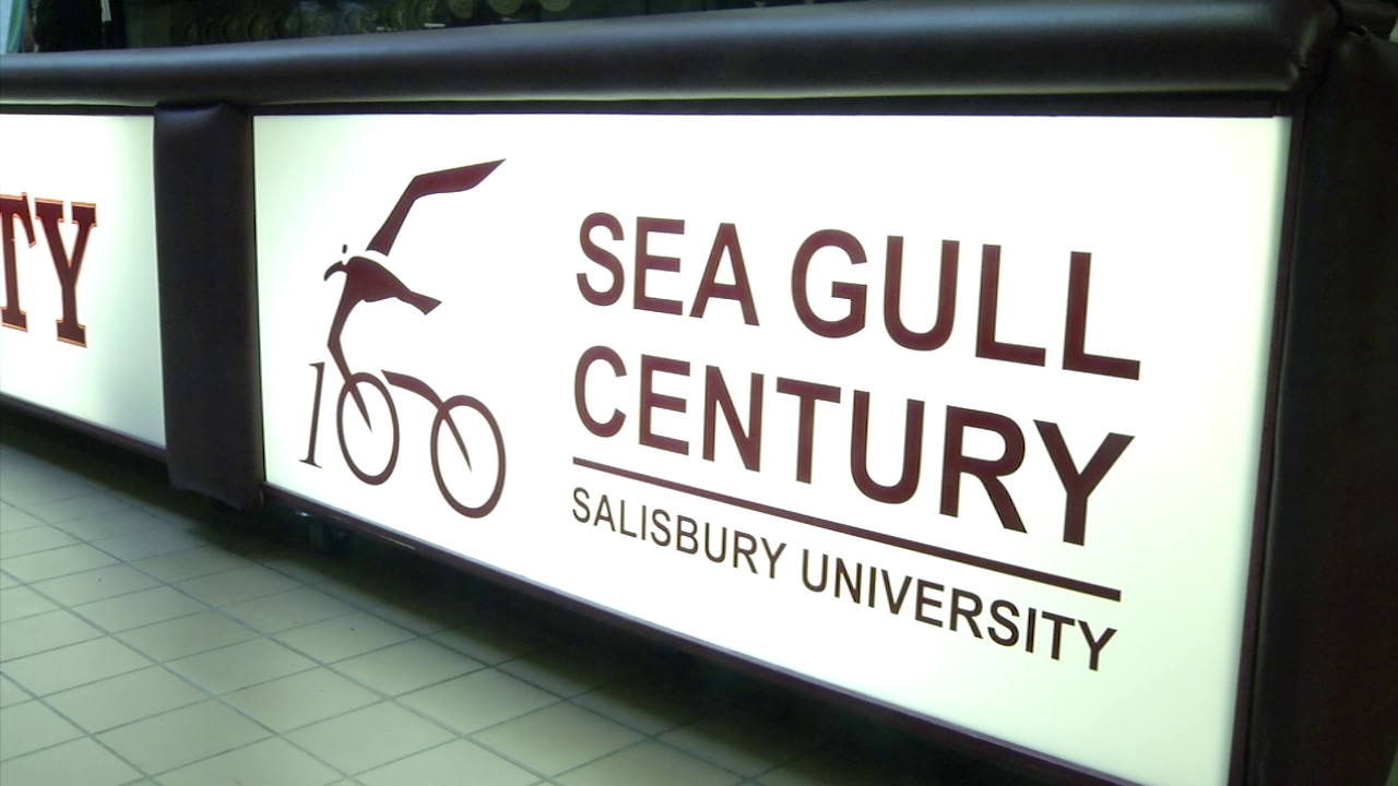 Seagull Century still on despite rainy forecast 47abc