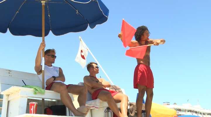 lifeguard whistle signals