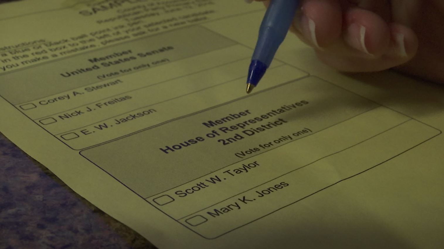 County residents weigh in on primary election 47abc