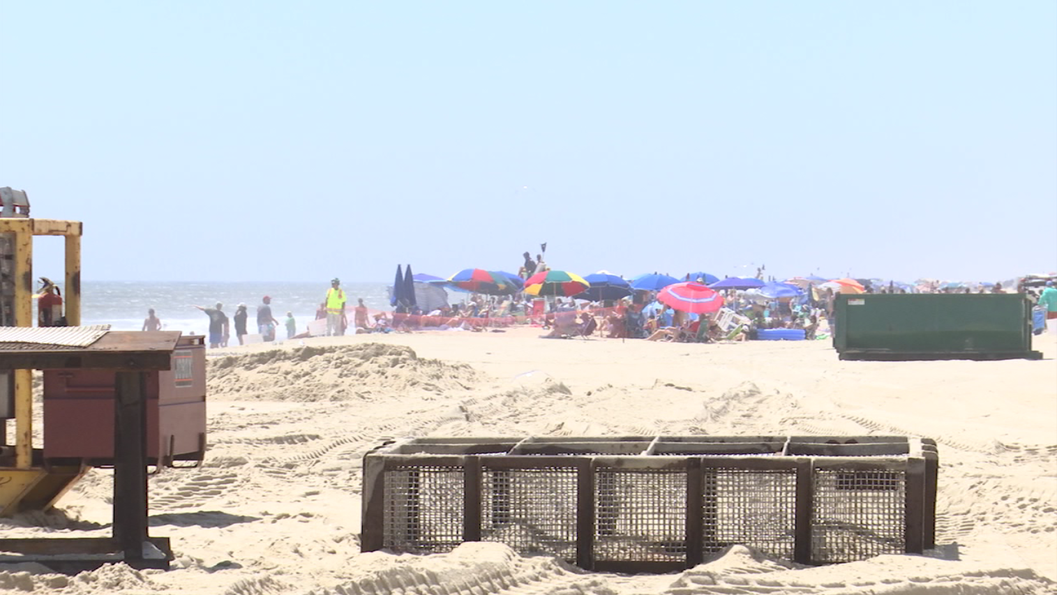 are dogs allowed on fenwick island beach