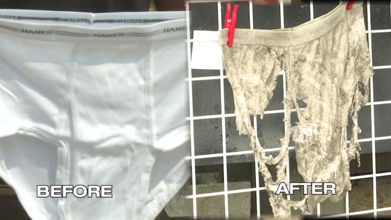 Farmers unveil underwear results from 'Soil Your Undies Challenge