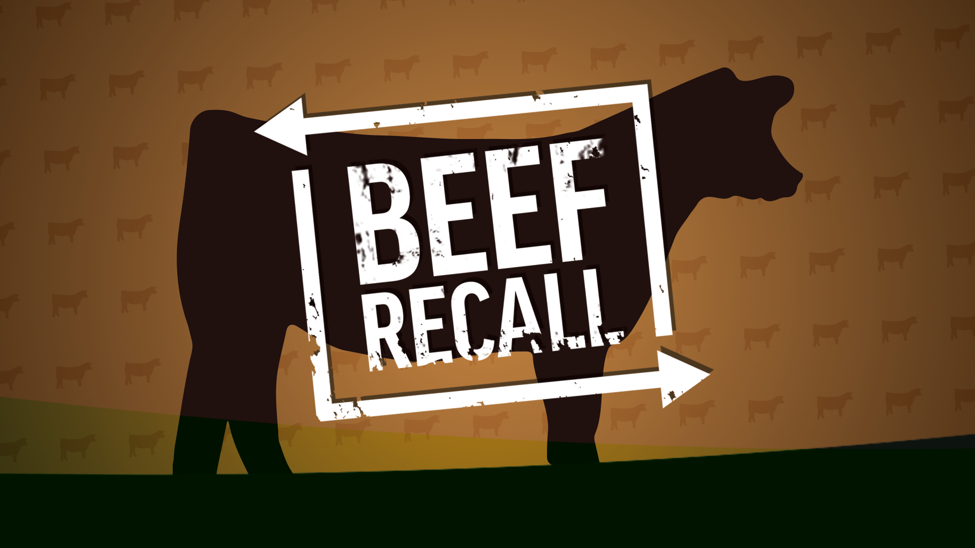 Recall Alert Ground meat, E. coli contamination 47abc