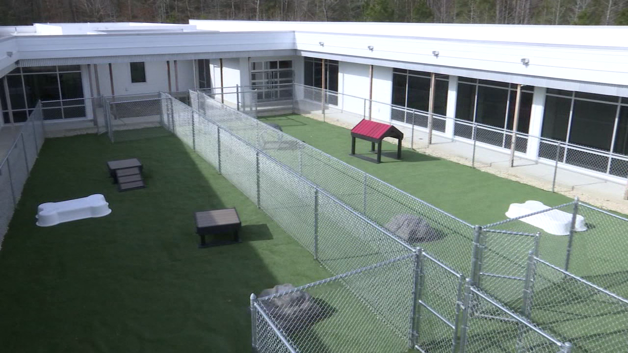 BVSPCA in creates luxury pet resort to bring for