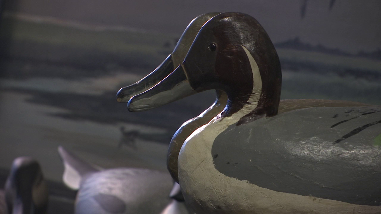 Decoy History Definition at Richard Blaisdell blog