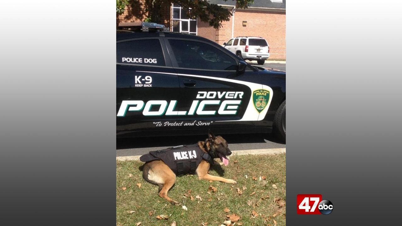 Police K9 helps track down man accused of armed robbery - 47abc