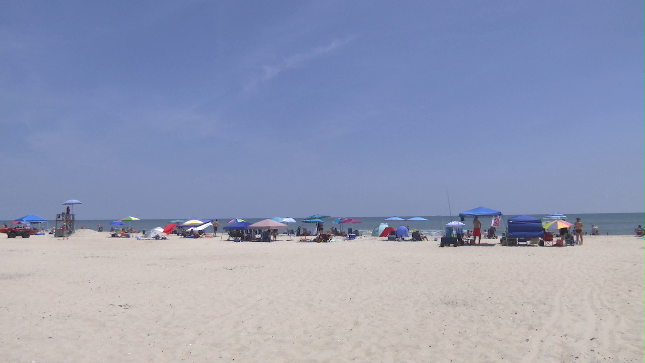 Salp Washing up on Assateague Island - 47abc