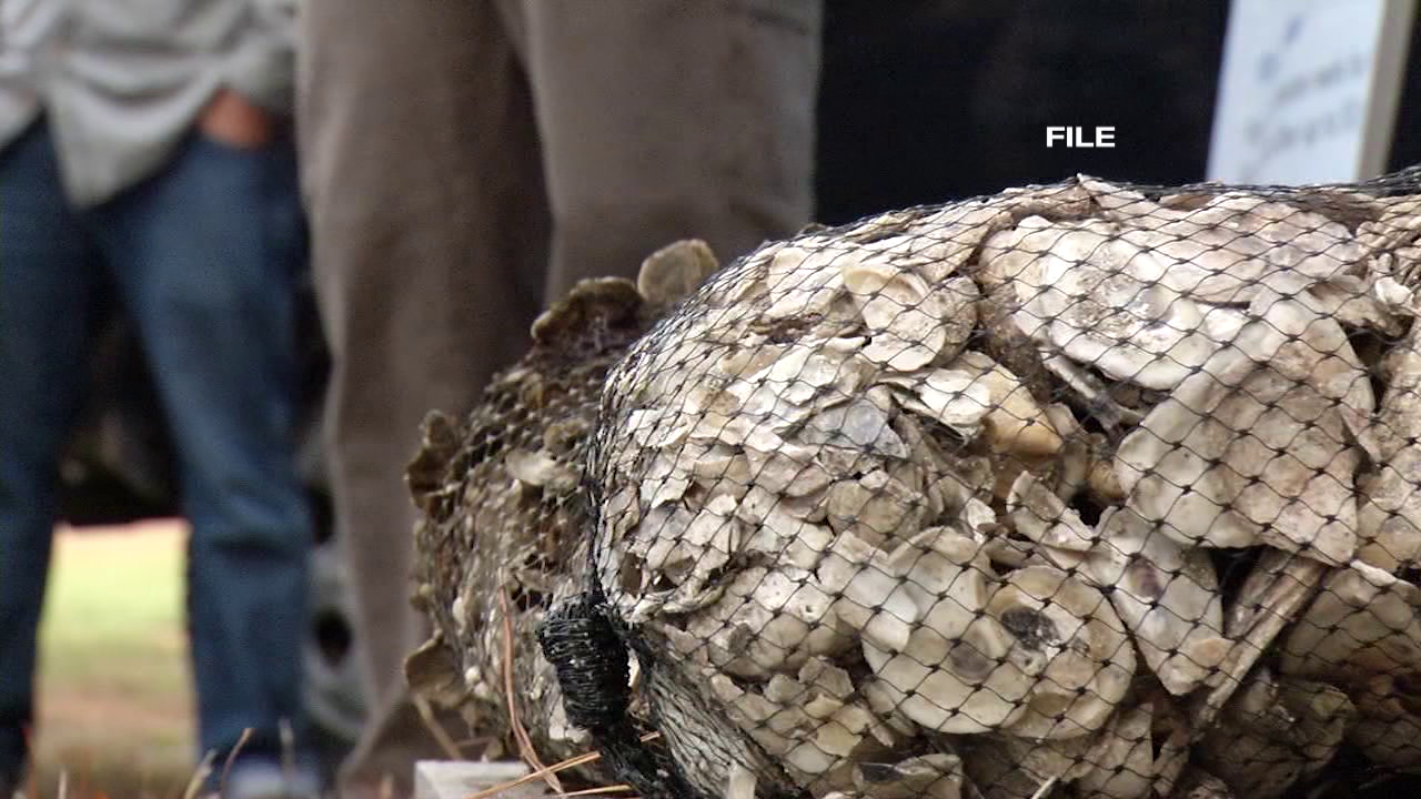 Maryland Oyster Habitat Restoration Efforts Receive $800k - 47abc