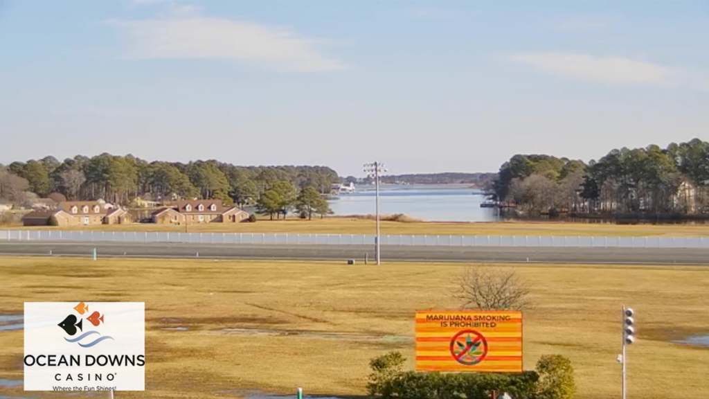 Ocean Downs 0124