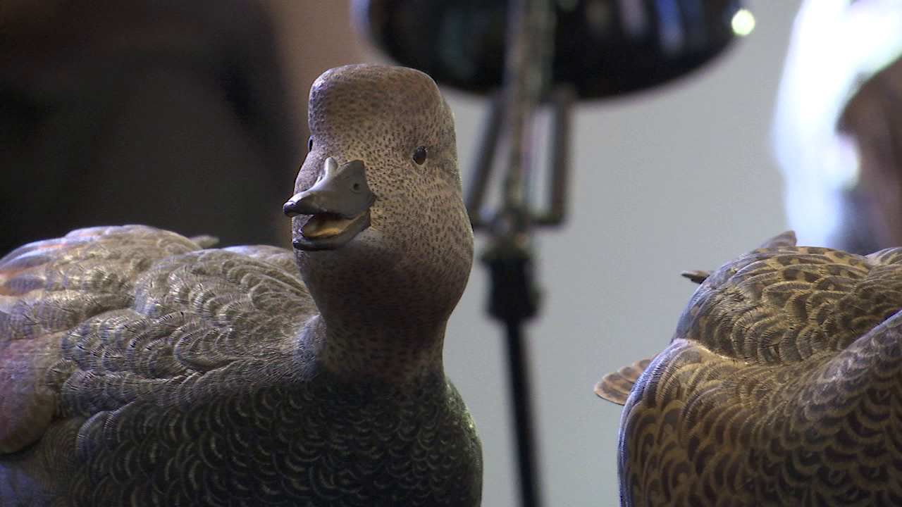 Waterfowl Festival brings thousands to Easton 47abc