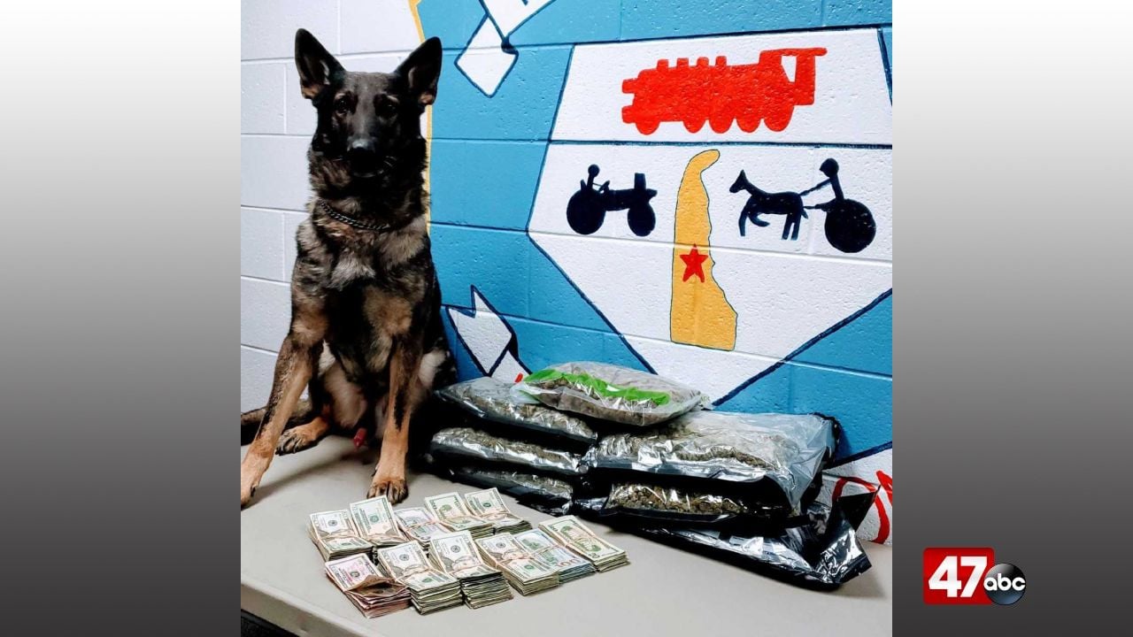 Police K9 finds over 8 pounds of drugs, $22k during traffic stop - 47abc