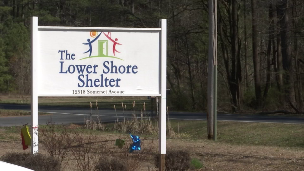 The Lower Shore Shelter