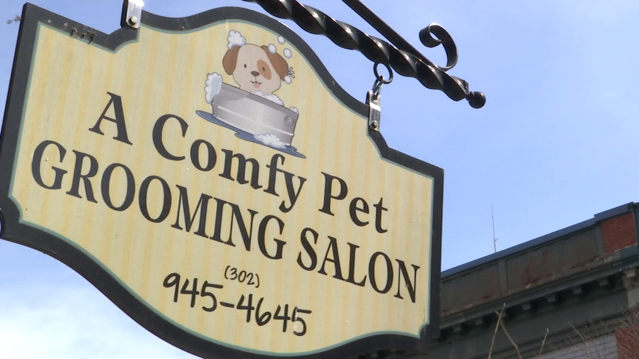 Open For Business A Comfy Pet Grooming Salon 47abc