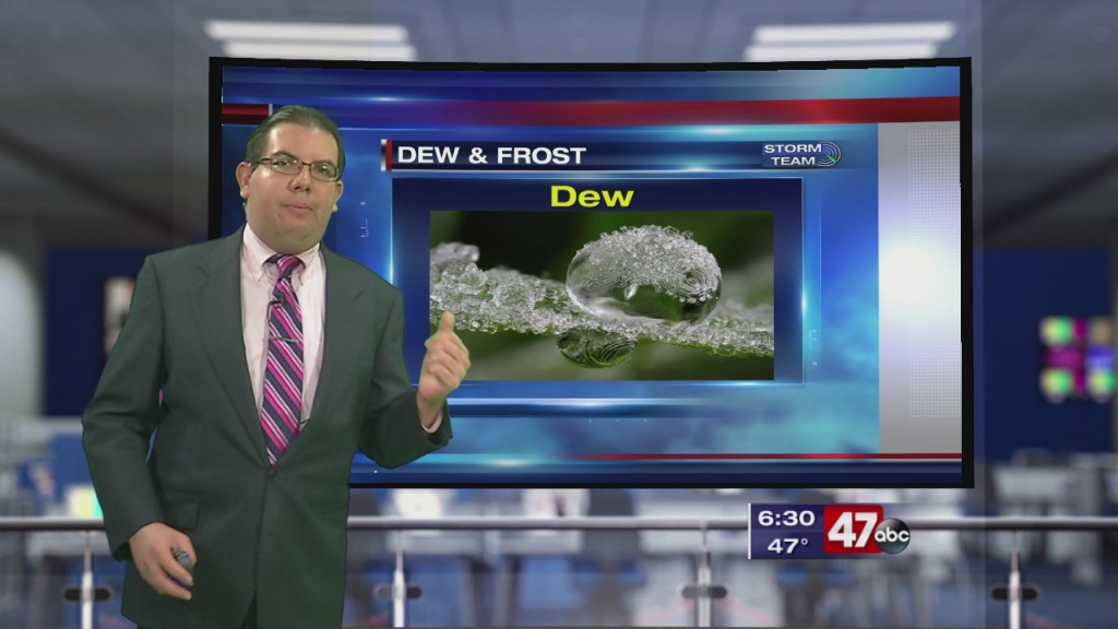 Weather Tidbits: Dew & Frost