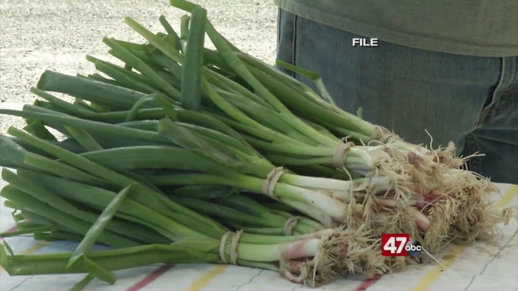 Harvest 2020 Program