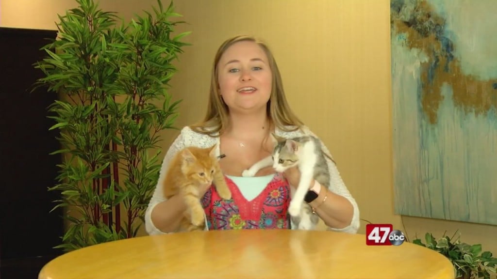 Pets On The Plaza: Meet Fireball And Bethany
