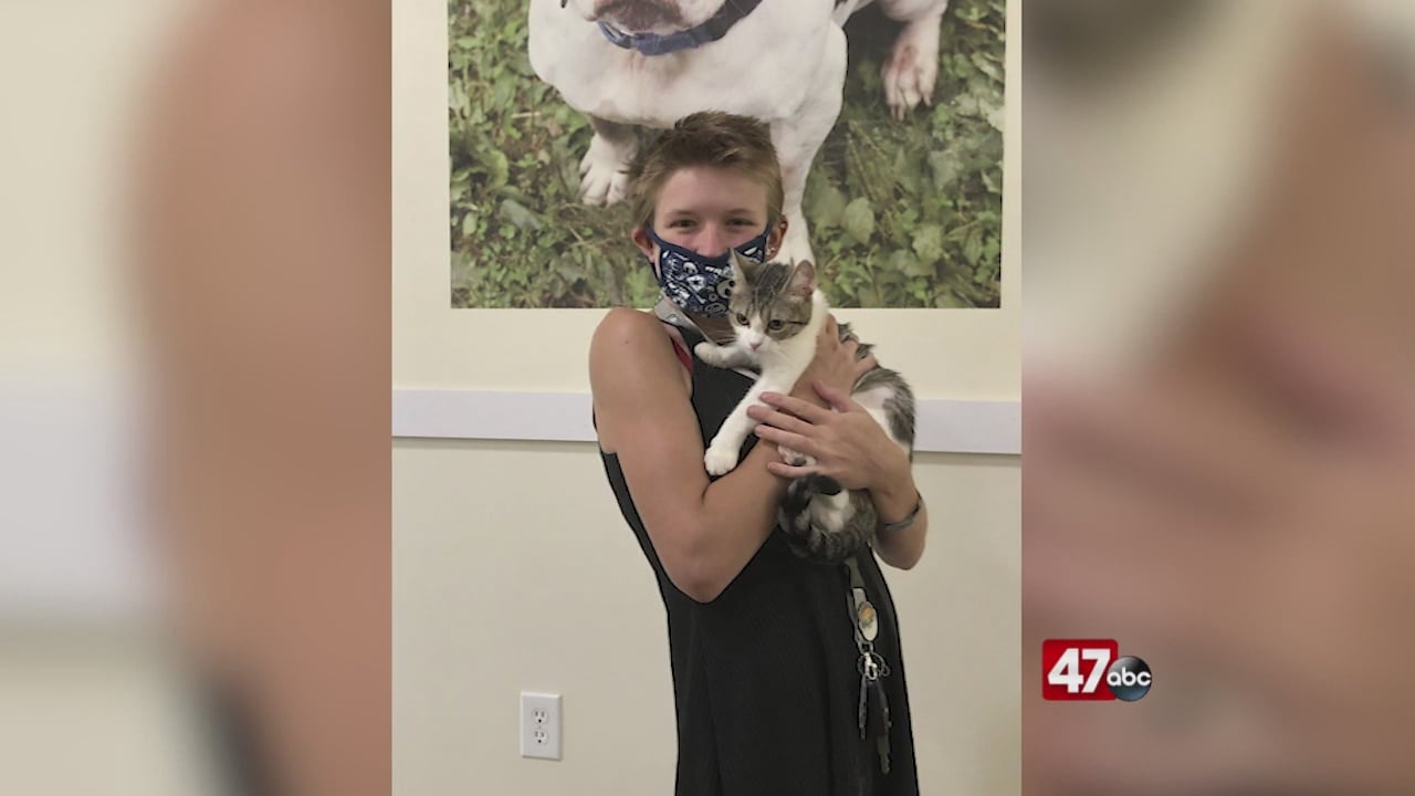 Brandywine Valley SPCA adopts out more than 100 pets in less than a