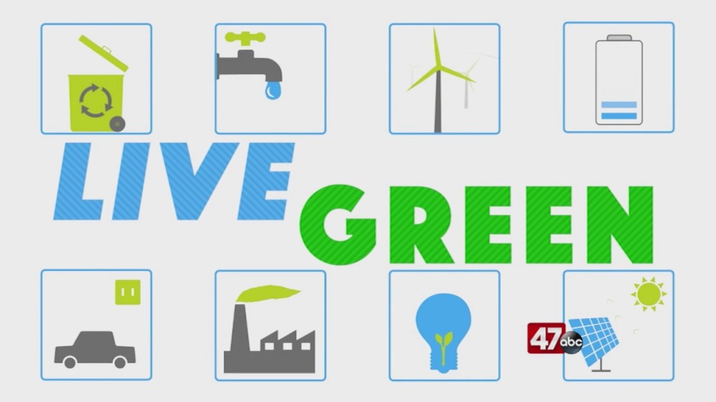 Live Green: 8.26.20