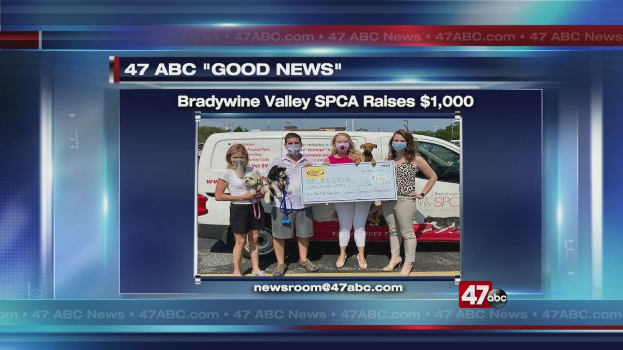 Brandywine Valley SPCA celebrates money raised during virtual 5K 47abc