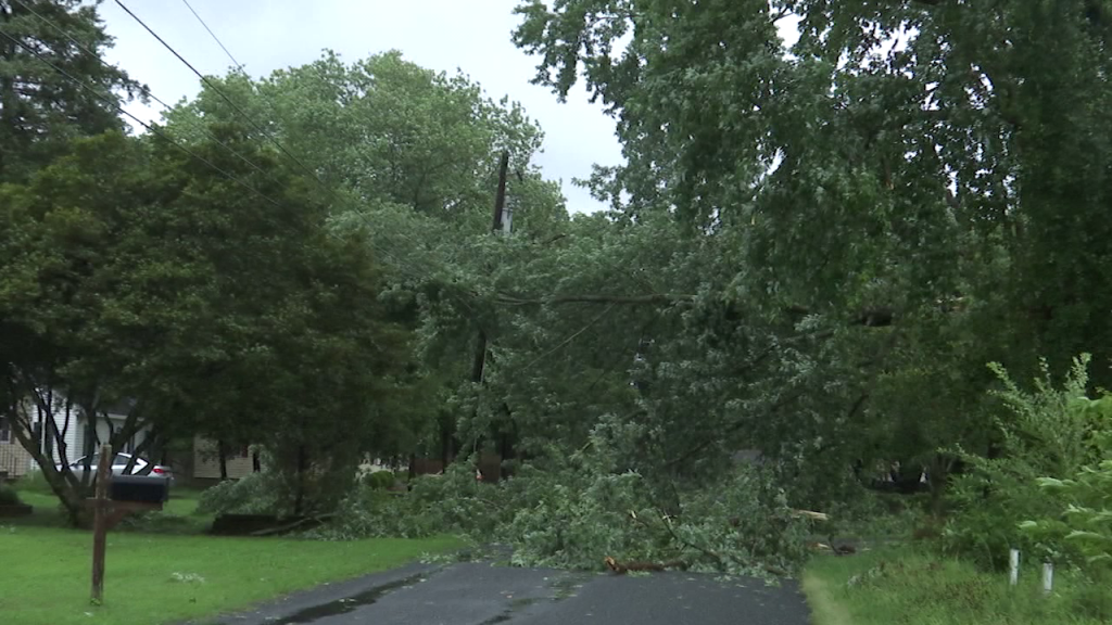 Salisbury Isaias Storm Damage
