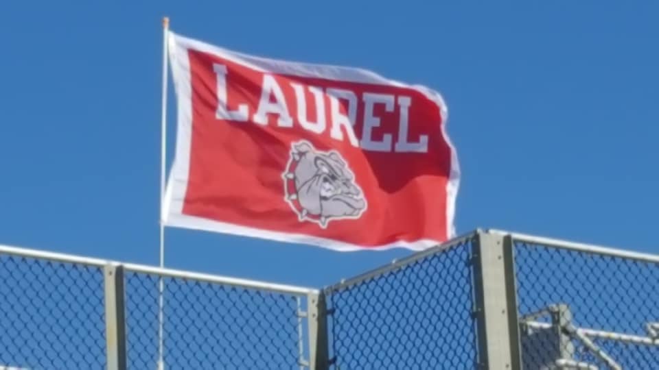 Laurel