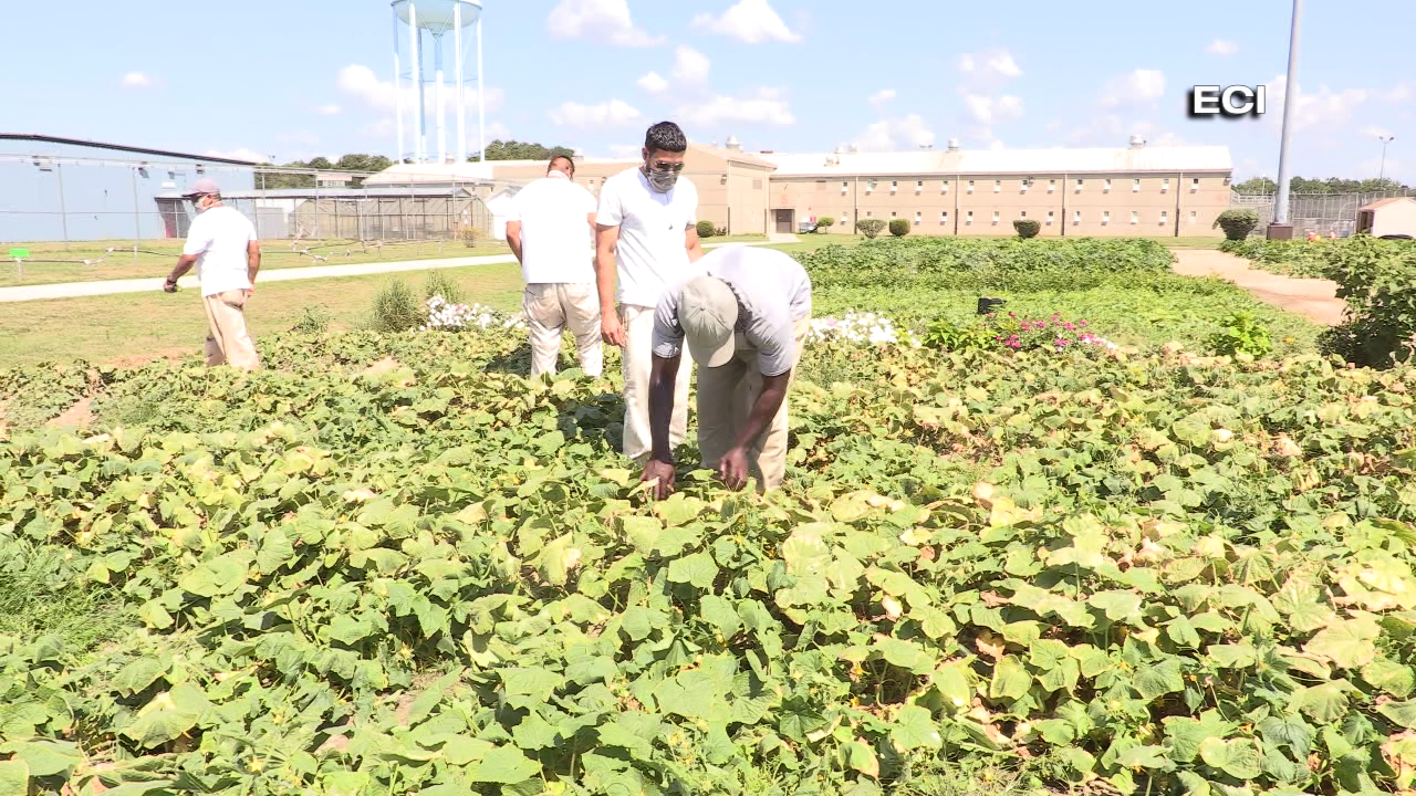 ECI expanding their garden, while helping more local health departments ...