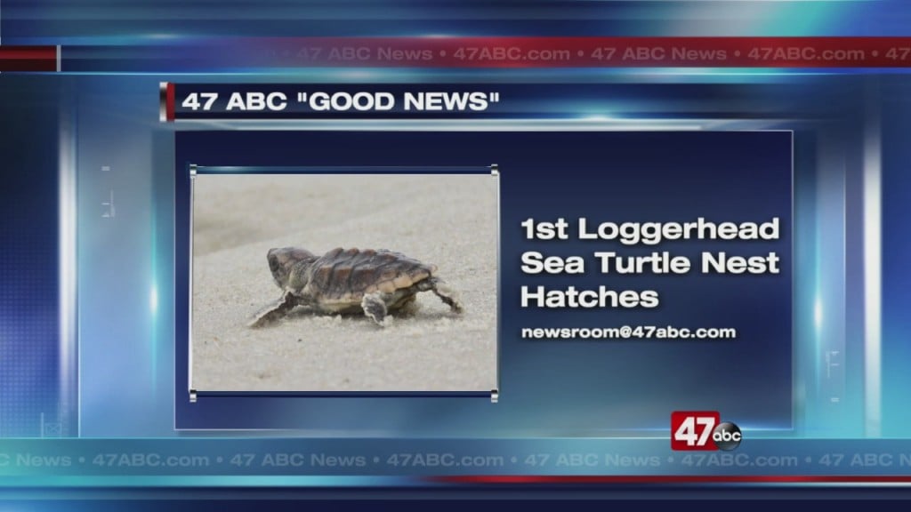 Good News 11pm 9.10.20