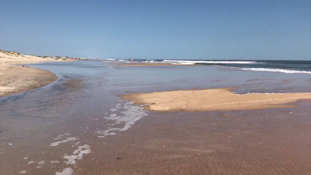 Assateague Osv High Tide