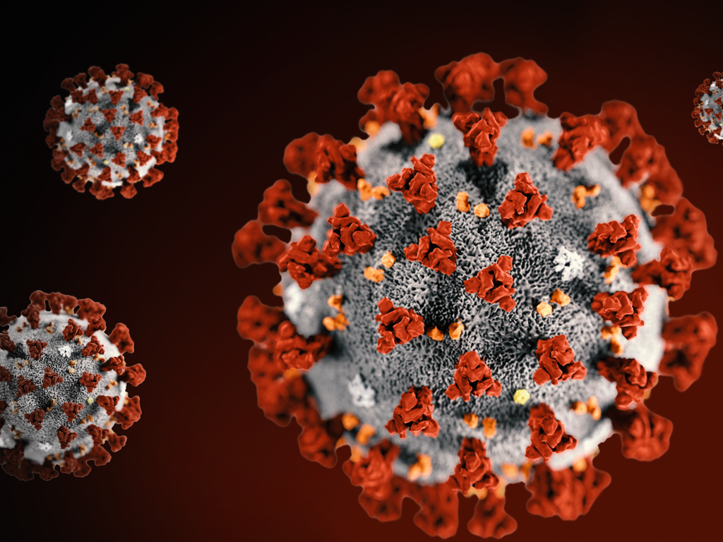 Covidvirus