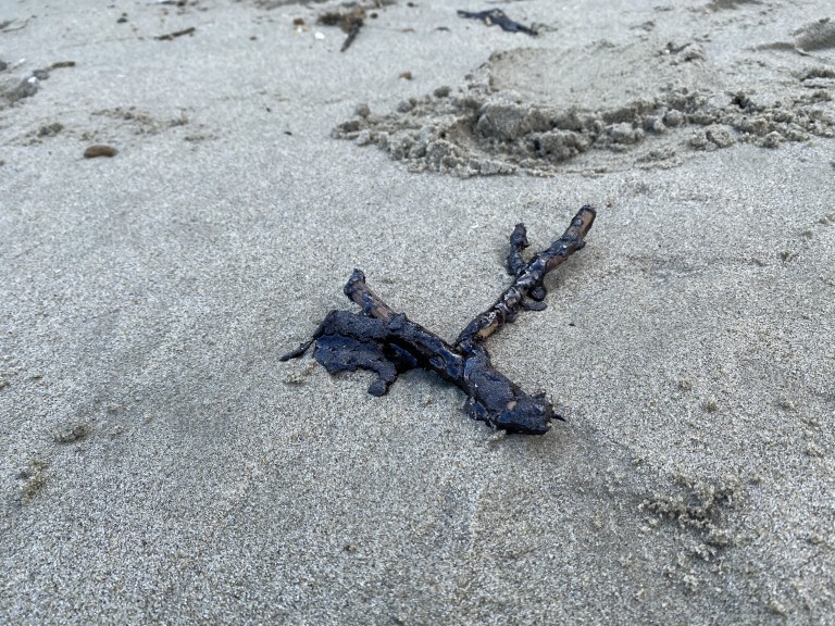 Oilspill2 1