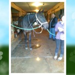 1280 Jill