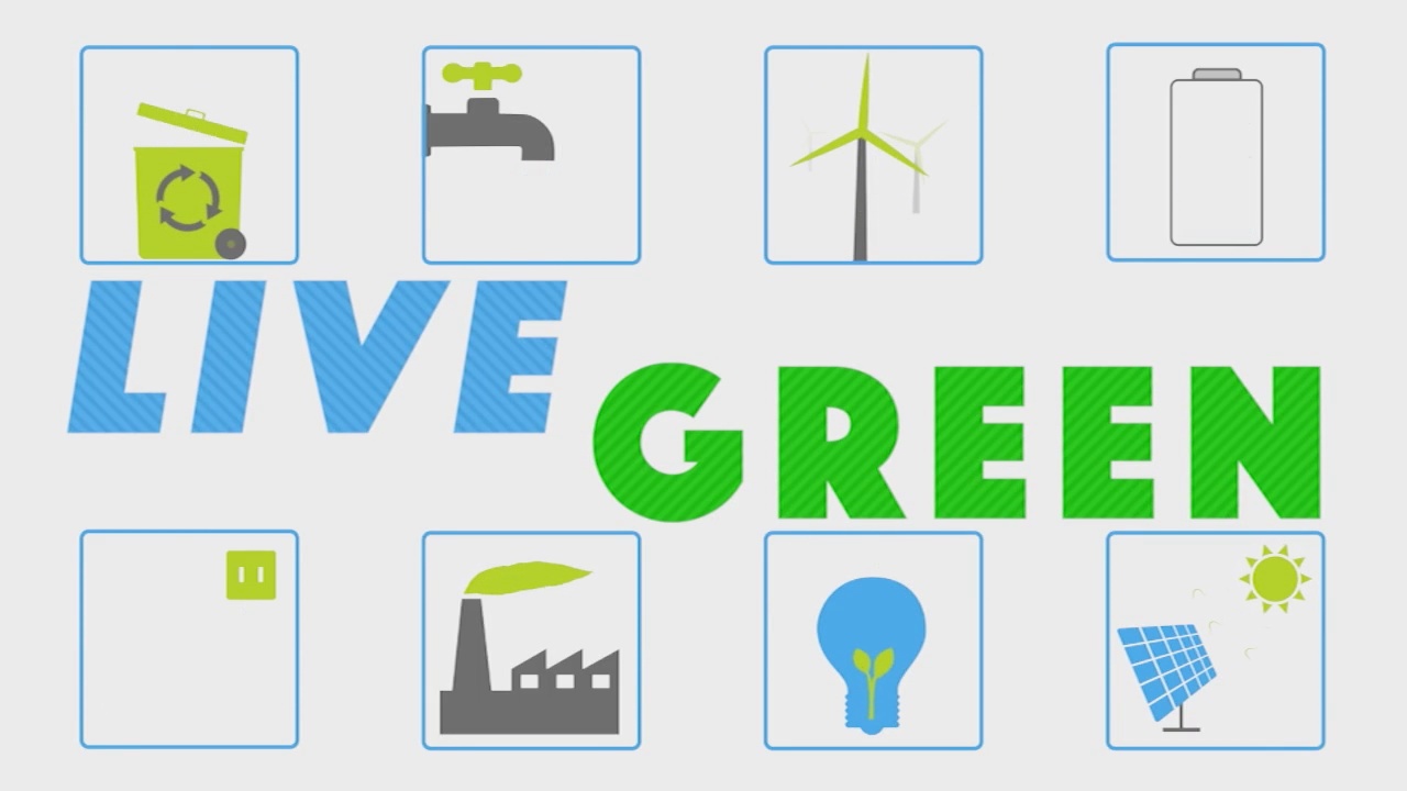 Live Green: Innerbloom - Vimarsana News
