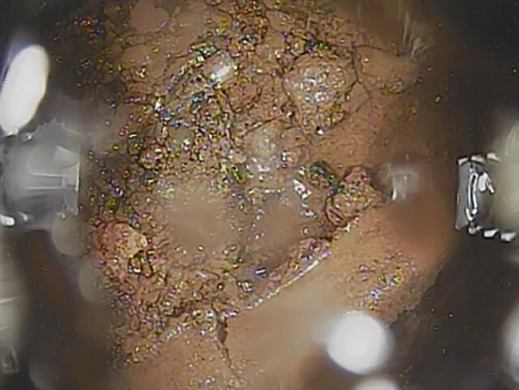 Japon Desastre Nuclear