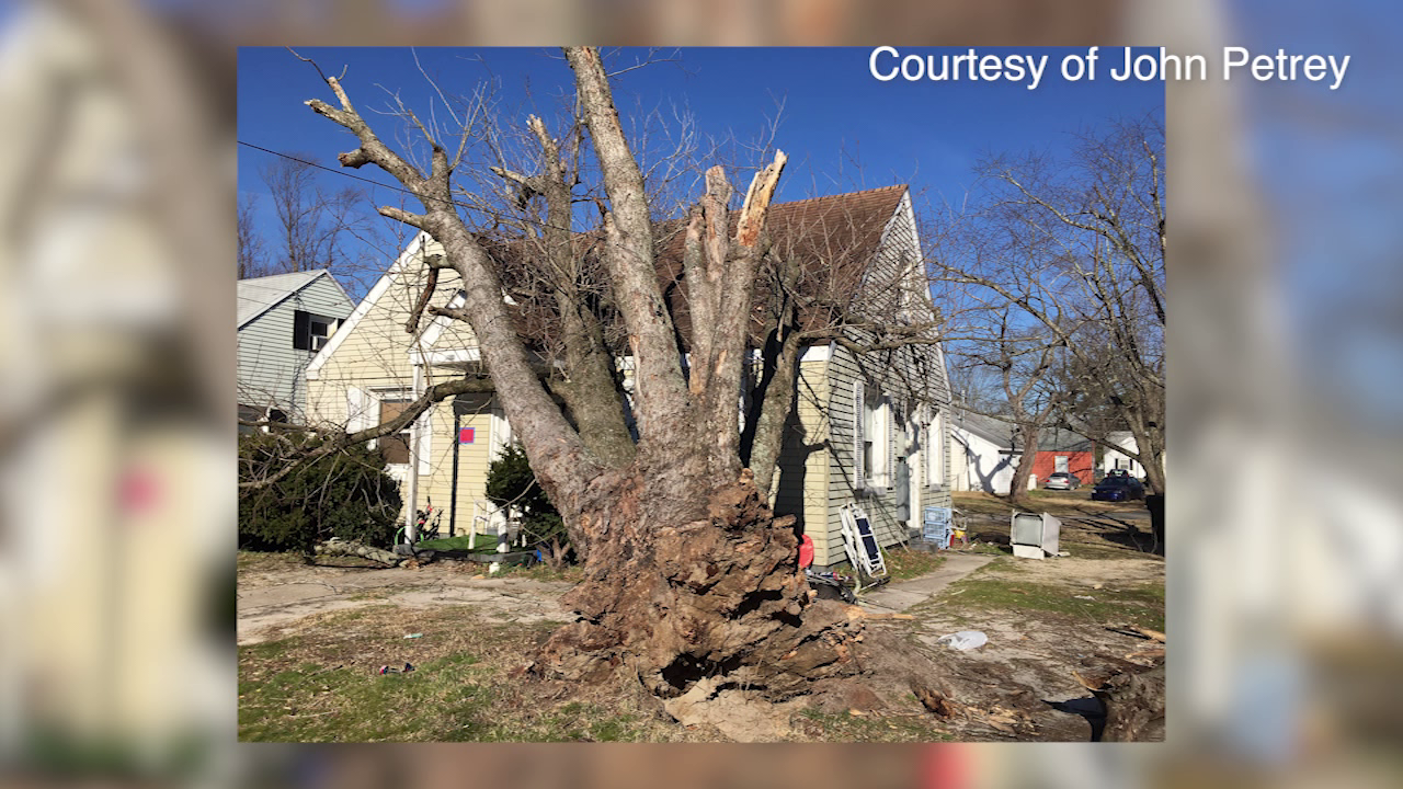Fallen tree leaves family of 7, homeless - Vimarsana News