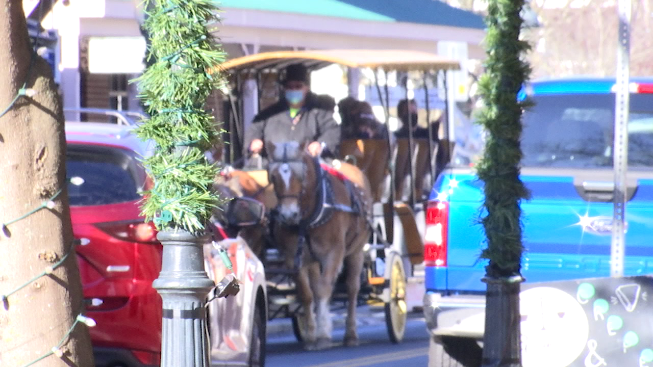 Horse-drawn carriage rides brings economic boost to town of Berlin - Vimarsana News