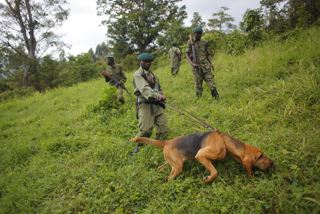 Congo Guardabosques Asesinados