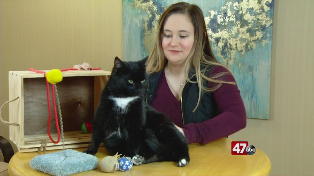 Pets On The Plaza: Meet Alma