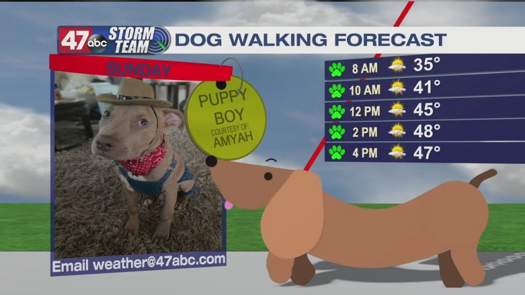 Morning Forecast Video 1.17.21