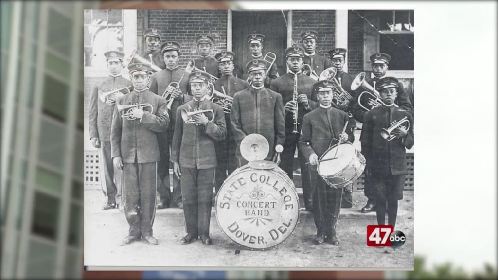 Dsu History