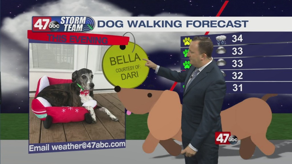 Evening Forecast Video 02.19.21