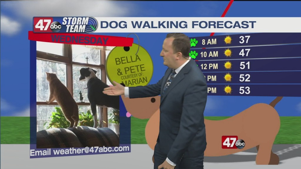 Evening Forecast Video 03.02.21